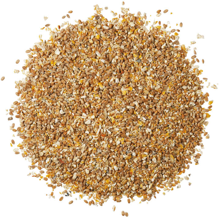 Landleben Freiland Körnerfutter